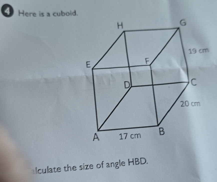 Here is a cuboid. 
alculate the size of angle HBD.