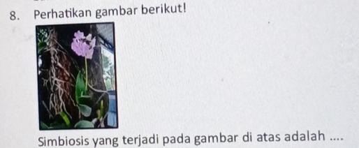 Perhatikan gambar berikut! 
Simbiosis yang terjadi pada gambar di atas adalah ....