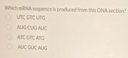 Which mRNA sequence is produced from this DNA section?
UTC GTC UTG
AUG CUG AUC
ATC GTC ATG
AUC GUC AUG