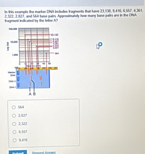 In this example the marker DNA includes fragments that have 23, 130, 9, 416, 6, 557, 4, 361,
2,322, 2, 027, and 564 base pairs. Approximately how many base pairs are in the DNA
fragment indicated by the letter A?
564
2.027
2 322
6.557
9.416
Request Answer