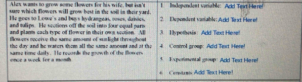 Alex wants to grow some flowers for his wife, but isn't 1. Independent variable: "Add Text Here! 
sure which flowers will grow best in the soil in their yard. 
He goes to Lowe's and buys hydrangeas, roses, daisies, 2. Dependent variable: Add Text Here! 
and tulips. He sections off the soil into four equal parts 
and plants each type of flower in their own section. All 3. 1lypothesis: Add Text Here! 
flowers receive the same amount of sumlight throughout 
the day and he waters them all the same amount and at the 4 Control group: Add Text Here! 
same time daily. He records the growth of the flowers 
once a week for a month 5 Experimental group: Add Text Here! 
Constmis Add Text Here!