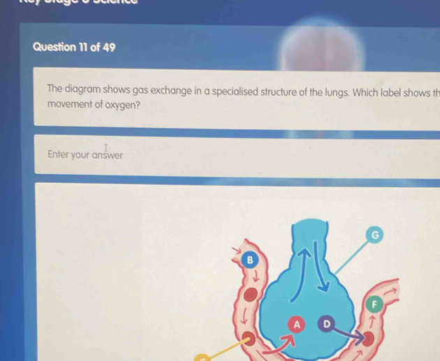 Solved: The diagram shows gas exchange in a specialised structure of ...