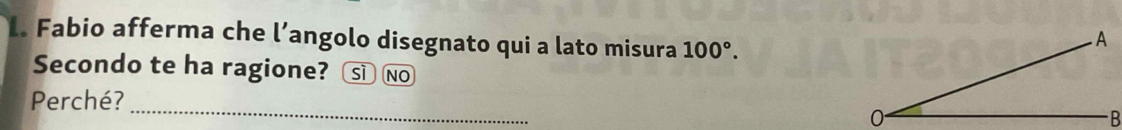 Fabio afferma che l’angolo disegnato qui a lato misura 100°. 
Secondo te ha ragione? sì no 
Perché? 
_