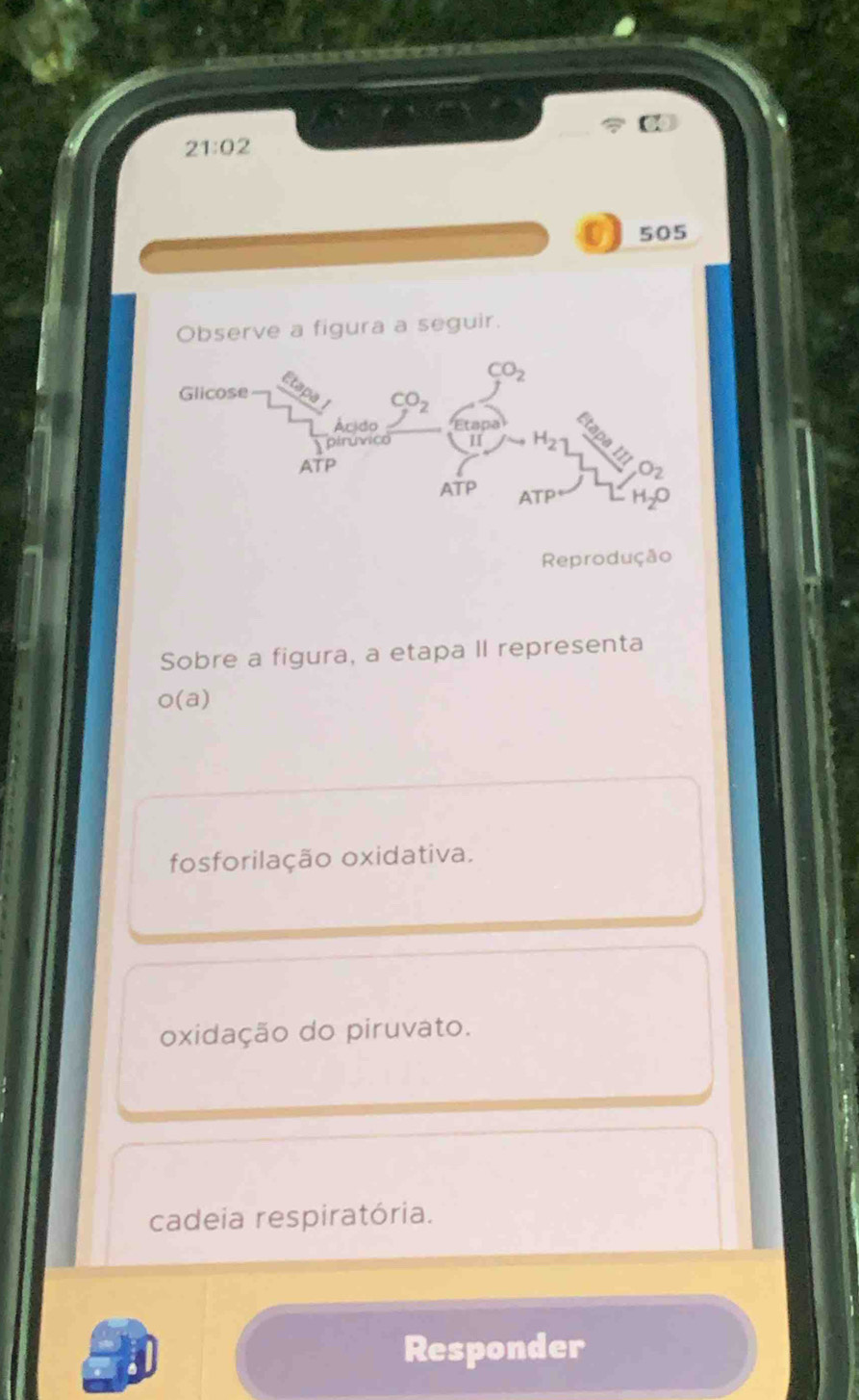 21:02
505
Observe a figura a seguir.
Reprodução
Sobre a figura, a etapa II representa
o(a)
fosforilação oxidativa.
oxidação do piruvato.
cadeia respiratória.
Responder