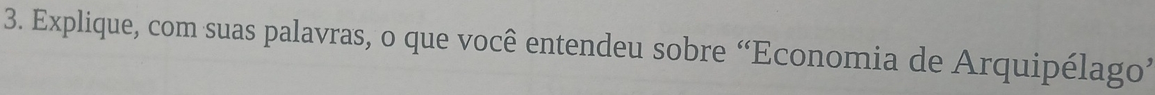 Explique, com suas palavras, o que você entendeu sobre “Economia de Arquipélago’