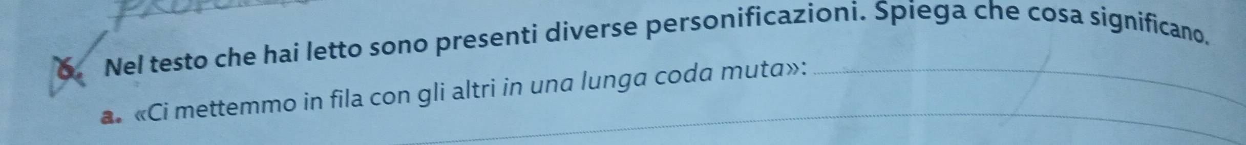 Nel testo che hai letto sono presenti diverse personificazioni. Spiega che cosa significano. 
a. «Ci mettemmo in fila con gli altri in una lunga coda muta»: