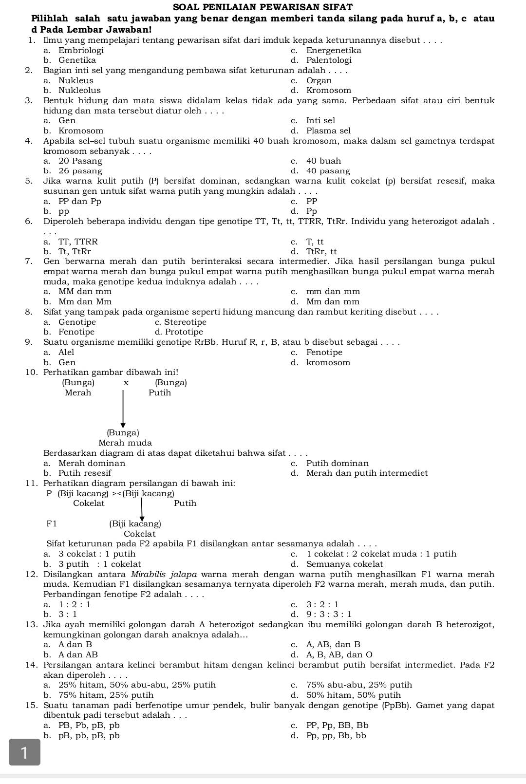 SOAL PENILAIAN PEWARISAN SIFAT
Pilihlah salah satu jawaban yang benar dengan memberi tanda silang pada huruf a, b, c atau
d Pada Lembar Jawaban!
1. Ilmu yang mempelajari tentang pewarisan sifat dari imduk kepada keturunannya disebut . . . .
a. Embriologi c. Energenetika
b. Genetika d. Palentologi
2. Bagian inti sel yang mengandung pembawa sifat keturunan adalah . . . .
a. Nukleus c. Organ
b. Nukleolus d. Kromosom
3. Bentuk hidung dan mata siswa didalam kelas tidak ada yang sama. Perbedaan sifat atau ciri bentuk
hidung dan mata tersebut diatur oleh . . . .
a. Gen c. Inti sel
b. Kromosom d. Plasma sel
4. Apabila sel-sel tubuh suatu organisme memiliki 40 buah kromosom, maka dalam sel gametnya terdapat
kromosom sebanyak . . . .
a. 20 Pasang c. 40 buah
b. 26 pasang d. 40 pasang
5. Jika warna kulit putih (P) bersifat dominan, sedangkan warna kulit cokelat (p) bersifat resesif, maka
susunan gen untuk sifat warna putih yang mungkin adalah . . . .
a. PP dan Pp c. PP
b. pp d. Pp
6. Diperoleh beberapa individu dengan tipe genotipe TT, Tt, tt, TTRR, TtRr. Individu yang heterozigot adalah .
a. TT, TTRR c. T, tt
b. Tt, TtRr d. TtRr, tt
7. Gen berwarna merah dan putih berinteraksi secara intermedier. Jika hasil persilangan bunga pukul
empat warna merah dan bunga pukul empat warna putih menghasilkan bunga pukul empat warna merah
muda, maka genotipe kedua induknya adalah . . . .
a. MM dan mm c. mm dan mm
b. Mm dan Mm d. Mm dan mm
8. Sifat yang tampak pada organisme seperti hidung mancung dan rambut keriting disebut . . . .
a. Genotipe c. Stereotipe
b. Fenotipe d. Prototipe
9. Suatu organisme memiliki genotipe RrBb. Huruf R, r, B, atau b disebut sebagai . . . .
a. Alel c. Fenotipe
b. Gen d. kromosom
10. Perhatikan gambar dibawah ini!
(Bunga) x (Bunga)
Merah Putih
(Bunga)
Merah muda
Berdasarkan diagram di atas dapat diketahui bahwa sifat . . . .
a. Merah dominan c. Putih dominan
b. Putih resesif d. Merah dan putih intermediet
11. Perhatikan diagram persilangan di bawah ini:
P (Biji kacang) kacang)
Cokelat Putih
F1 (Biji kacang)
Cokelat
Sifat keturunan pada F2 apabila F1 disilangkan antar sesamanya adalah . . . .
a. 3 cokelat : 1 putih c. 1 cokelat : 2 cokelat muda : 1 putih
b. 3 putih : 1 cokelat d. Semuanya cokelat
12. Disilangkan antara Mirabilis jalapa warna merah dengan warna putih menghasilkan F1 warna merah
muda. Kemudian F1 disilangkan sesamanya ternyata diperoleh F2 warna merah, merah muda, dan putih.
Perbandingan fenotipe F2 adalah . . . .
a. 1:2:1 c. 3:2:1
d.
b. 3:1 9:3:3:1
13. Jika ayah memiliki golongan darah A heterozigot sedangkan ibu memiliki golongan darah B heterozigot,
kemungkinan golongan darah anaknya adalah...
a. A dan B c. A, AB, dan B
b. A dan AB d. A, B, AB, dan O
14. Persilangan antara kelinci berambut hitam dengan kelinci berambut putih bersifat intermediet. Pada F2
akan diperoleh . . . .
a. 25% hitam, 50% abu-abu, 25% putih c. 75% abu-abu, 25% putih
b. 75% hitam, 25% putih d. 50% hitam, 50% putih
15. Suatu tanaman padi berfenotipe umur pendek, bulir banyak dengan genotipe (PpBb). Gamet yang dapat
dibentuk padi tersebut adalah . . .
a. PB, Pb, pB, pb c. PP, Pp, BB, Bb
b. pB, pb, pB, pb d. Pp, pp, Bb, bb
1