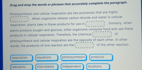 Drag and drop the words or phrases that accurately complete the paragraph.
Photosynthesis and cellular respiration are two processes that are highly
. When organisms release carbon dioxide and water in cellular
respiration, plants take in these products for use in . Similarly, when
plants produce oxygen and glucose, other organisms consume food and use these
products in cellular respiration. Therefore, the chemical (-1 of
photosynthesis and cellular respiration are the opposite of each other. In other
_
words, the products of one reaction are the of the other reaction.
respiration equations photosynthesis products
reactants interrelated independent locations