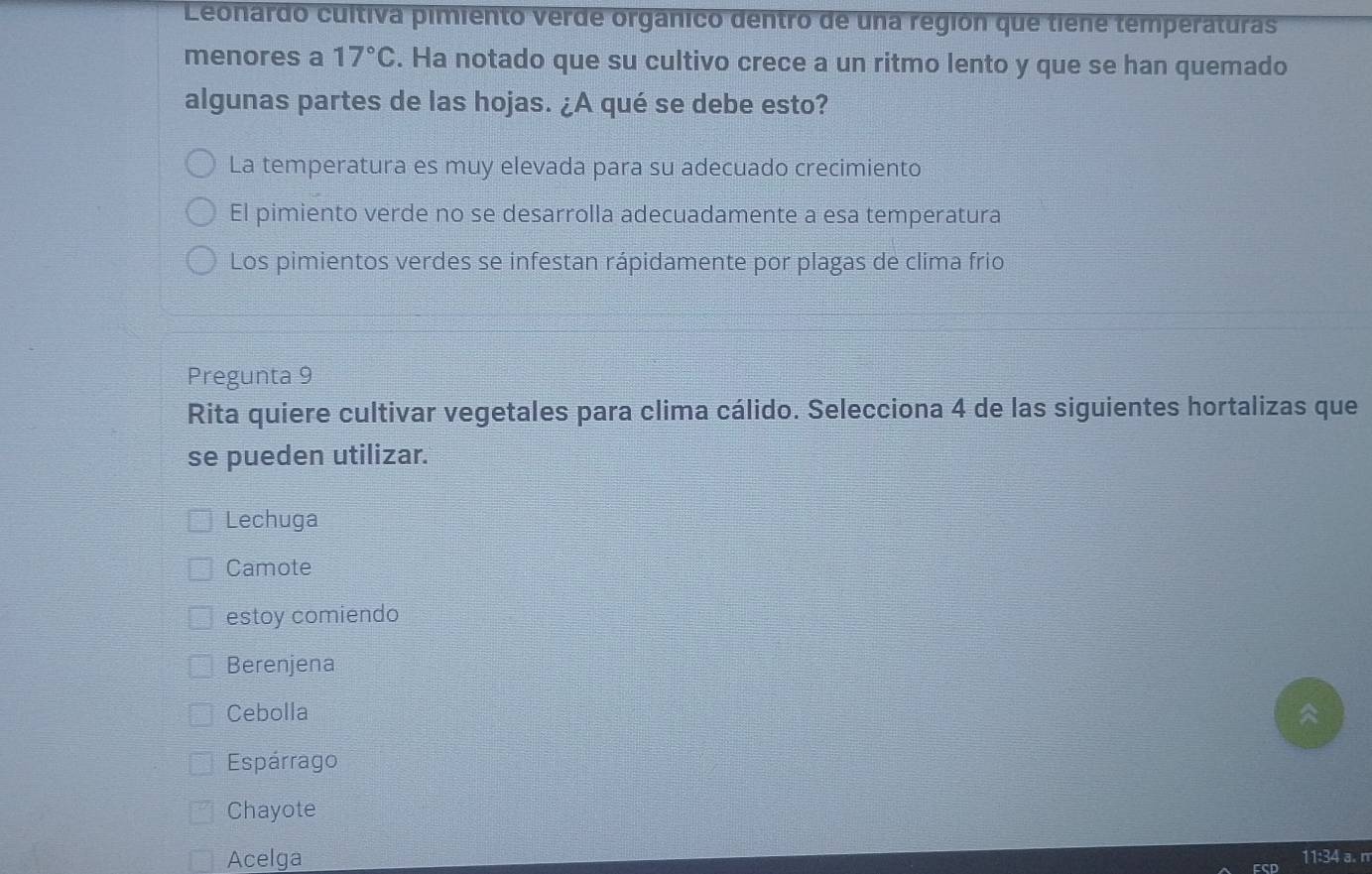 Leonardo cultiva pimiento verde orgânico dentro de una región que tiêne temperaturas
menores a 17°C. Ha notado que su cultivo crece a un ritmo lento y que se han quemado
algunas partes de las hojas. ¿A qué se debe esto?
La temperatura es muy elevada para su adecuado crecimiento
El pimiento verde no se desarrolla adecuadamente a esa temperatura
Los pimientos verdes se infestan rápidamente por plagas de clima frio
Pregunta 9
Rita quiere cultivar vegetales para clima cálido. Selecciona 4 de las siguientes hortalizas que
se pueden utilizar.
Lechuga
Camote
estoy comiendo
Berenjena
Cebolla
Espárrago
Chayote
Acelga 11:34 a. n
FSD