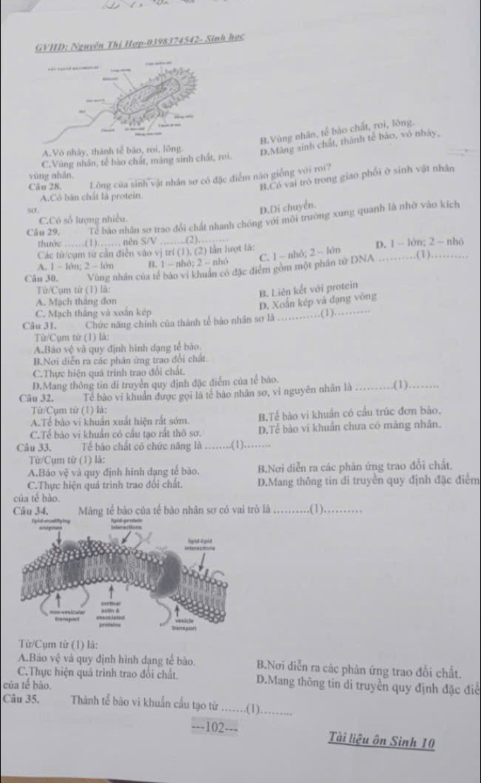 GVHD: Nguyễn Thị Hợp-0398374542- Sinh học
B.Vùng nhân, tế bảo chất, roi, lông.
C.Vùng nhân, tế bào chất, màng sinh chất, roi. D,Mảng sinh chất, thành tế bào, vô nhảy,
A.Vò nhày, thành tế bào, roi, lông.
vùng nhân.
B.Có vai trò trong giao phối ở sinh vật nhân
Cău 28. Lộng của sinh vật nhân sơ có đặc điểm nào giống với roi?
A.Có bàn chất là protein.
so
D.Di chuyển.
Câu 29. Tể bào nhân sơ trao đổi chất nhanh chóng với môi trường xung quanh là nhờ vào kích
C.Có số lượng nhiều.
thước ……(1)…… nên S/V
Các tử/cụm từ cần điễn vào vị trí (1), (2) lần lượt là: .(2). D. 1- lớn; 2 - nhỏ
C. 1 ~ nhỏ; 2 ~ lớn
A. 1 - lớn; 2 - lớn B. 1 - nhó; 2 - nhỏ
Cân 30. Vùng nhân của tế bảo vi khuẩn có đặc điểm gồm một phần từ DNA _.(1)._
Từ/Cụm tử (1) là:
B. Liên kết với protein
A. Mạch thăng đơn
D. Xoắn kép vã đạng vòng
C. Mạch thắng và xoãn kép
Câu 31. Chức năng chính của thành tế bào nhân sơ là_ (1)._
Từ/Cụm từ (1) là:
A.Bảo vệ và quy định hình dạng tế bào.
B.Nơi diễn ra các phân ứng trao đổi chất.
C.Thực hiện quả trình trao đổi chất.
D.Mang thông tin di truyền quy định đặc điểm của tế bảo.
Câu 32. Tế bào vi khuẩn được gọi là tế bào nhân sơ, vì nguyên nhân là _.(1)_
Từ/Cụm tử (1) là:
A.Tế bào vi khuẩn xuất hiện rắt sớm. B.Tể bào vi khuẩn có cấu trúc đơn bào.
C.Tế bảo vi khuẩn có cầu tạo rất thô sơ. D.Tể bào vi khuẩn chưa có măng nhân.
Câu 33. Tể bào chất có chức năng là ……,(1)……
Từ/Cụm từ (1) là:
A.Bảo vệ và quy định hình dạng tế bào. B.Nơi diễn ra các phản ứng trao đổi chất.
C.Thực hiện quá trinh trao đổi chất. D.Mang thông tin dỉ truyền quy định đặc điểm
của tế bào.
Câu 34. Màng tể bào của tế bào nhân sơ có vai trò là_ .(1)._
Từ/Cụm từ (1) là:
A.Bão VC và quy định hình dạng tế bào. . B.Nơi diễn ra các phản ứng trao đổi chất.
C.Thực hiện quả trình trao đổi chất. D.Mang thông tin di truyền quy định đặc điể
của tế bào,
Câu 35. Thành tể bão vi khuẩn cấu tạo từ .…..(1)_
. 102 Tài liệu ôn Sinh 10