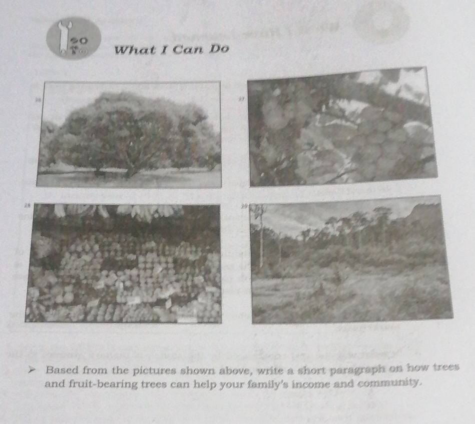 What I Can Do 
Based from the pictures shown above, write a short paragraph on how trees 
and fruit-bearing trees can help your family's income and community.