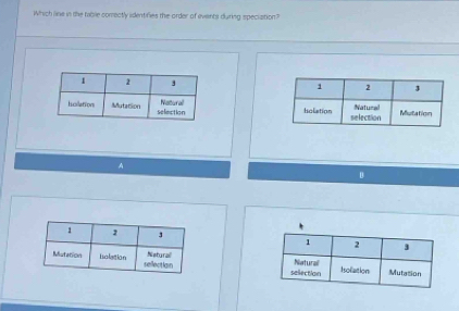 Which line in the table comectly identifies the order of events during speciation? 

A