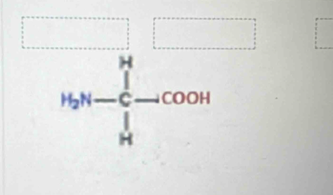 x_5 □^
H_2N-∈tlimits _ 1/2 ^H-COOH