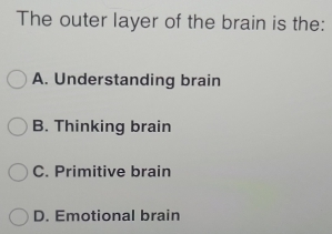 The outer layer of the brain is the:
A. Understanding brain
B. Thinking brain
C. Primitive brain
D. Emotional brain