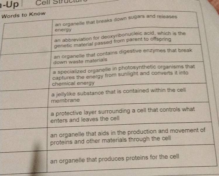 Up Cell Structu 
Wo