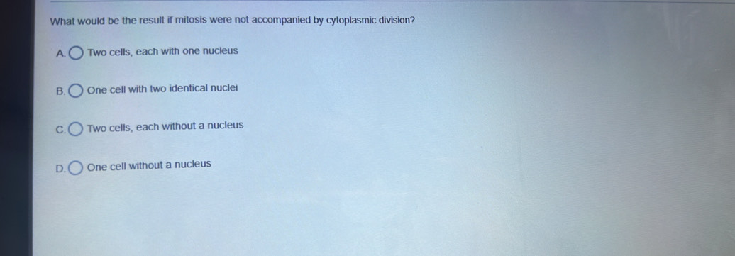 What would be the result if mitosis were not accompanied by cytoplasmic division?
A. Two cells, each with one nucleus
B. One cell with two identical nuclei
C. Two cells, each without a nucleus
D. One cell without a nucleus