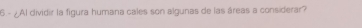 6 - ¿ Al dividir la figura humana cales son algunas de las áreas a considerar?