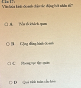 Văn hóa kinh doanh chịu tác động bởi nhân tổ?
A Yếu tổ khách quan
B Cộng đồng kinh doanh
C Phong tục tập quán
D Quá trình toán cầu hóa