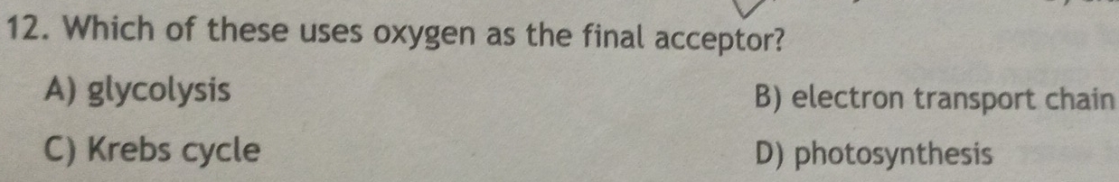 Which of these uses oxygen as the final acceptor?
A) glycolysis B) electron transport chain
C) Krebs cycle D) photosynthesis