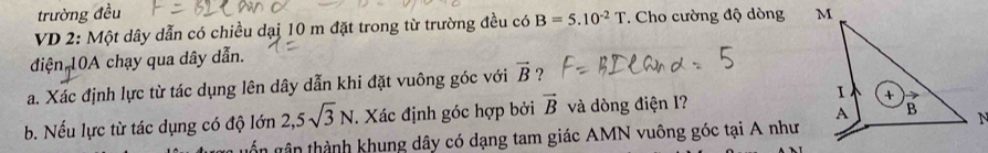 trường đều 
VD 2: Một dây dẫn có chiều dạj 10 m đặt trong từ trường đều có B=5.10^(-2)T. Cho cường độ dòng 
điện 10A chạy qua dây dẫn. 
a. Xác định lực từ tác dụng lên dây dẫn khi đặt vuông góc với vector B ? 
b. Nếu lực từ tác dụng có độ lớn 2,5sqrt(3)N Xác định góc hợp bởi vector B và dòng điện I? 
gốn gân thành khung dây có dạng tam giác AMN vuông góc tại A như