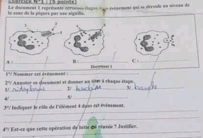 Exencice 14-1 : (5 points
Le document 1 représente certaines étsper ton événement qui se déroule au niveau de
la zone de la piqure par une aiguille.
Nommer eet évènement :_
2° Annoter ce document et donner un titre à chaque étape.
1/. .
2/_
4/_
5/_
_
3°/ Indiquer le rôle de l'élément 4 dans cet événement.
_
_
4°/ Est-ce que cette opération dy lutte e4 réussie ? Justifier.
_