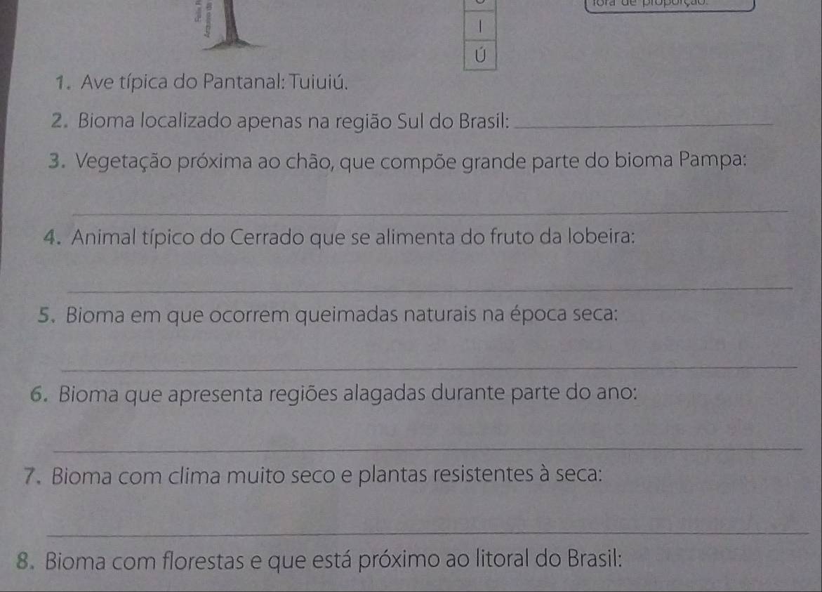 ora de própórção 
| 
ú 
1. Ave típica do Pantanal: Tuiuiú. 
2. Bioma localizado apenas na região Sul do Brasil:_ 
3. Vegetação próxima ao chão, que compõe grande parte do bioma Pampa: 
_ 
4. Animal típico do Cerrado que se alimenta do fruto da lobeira: 
_ 
5. Bioma em que ocorrem queimadas naturais na época seca: 
_ 
6. Bioma que apresenta regiões alagadas durante parte do ano: 
_ 
7. Bioma com clima muito seco e plantas resistentes à seca: 
_ 
8. Bioma com florestas e que está próximo ao litoral do Brasil: