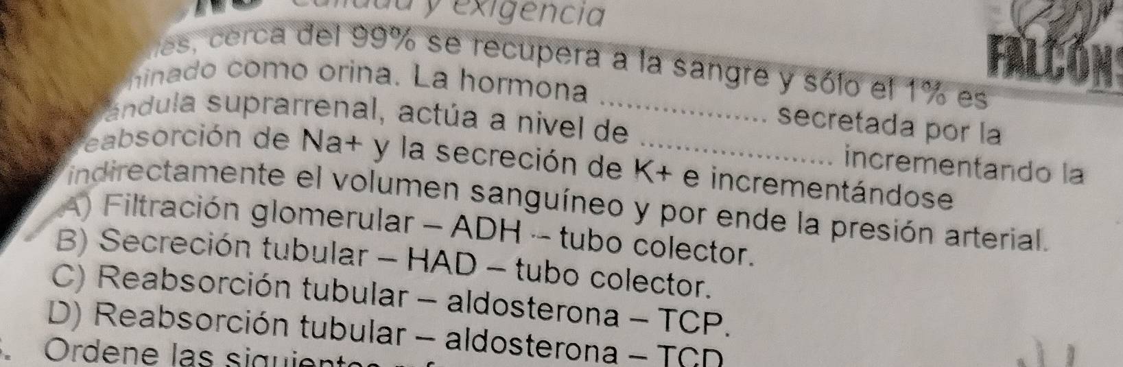 da y exigencia
Falcón
es, cerca del 99% se recupera a la sangre y sólo el 1% es
hinado como orina. La hormona
andula suprarrenal, actúa a nivel de
secretada por la
incrementando la
* reabsorción de Na+ y la secreción de K+ e incrementándose
indirectamente el volumen sanguíneo y por ende la presión arterial.
A Filtración glomerular - ADH - tubo colector.
B) Secreción tubular - HAD - tubo colector.
C) Reabsorción tubular - aldosterona - TCP.
D) Reabsorción tubular - aldosterona - TCD