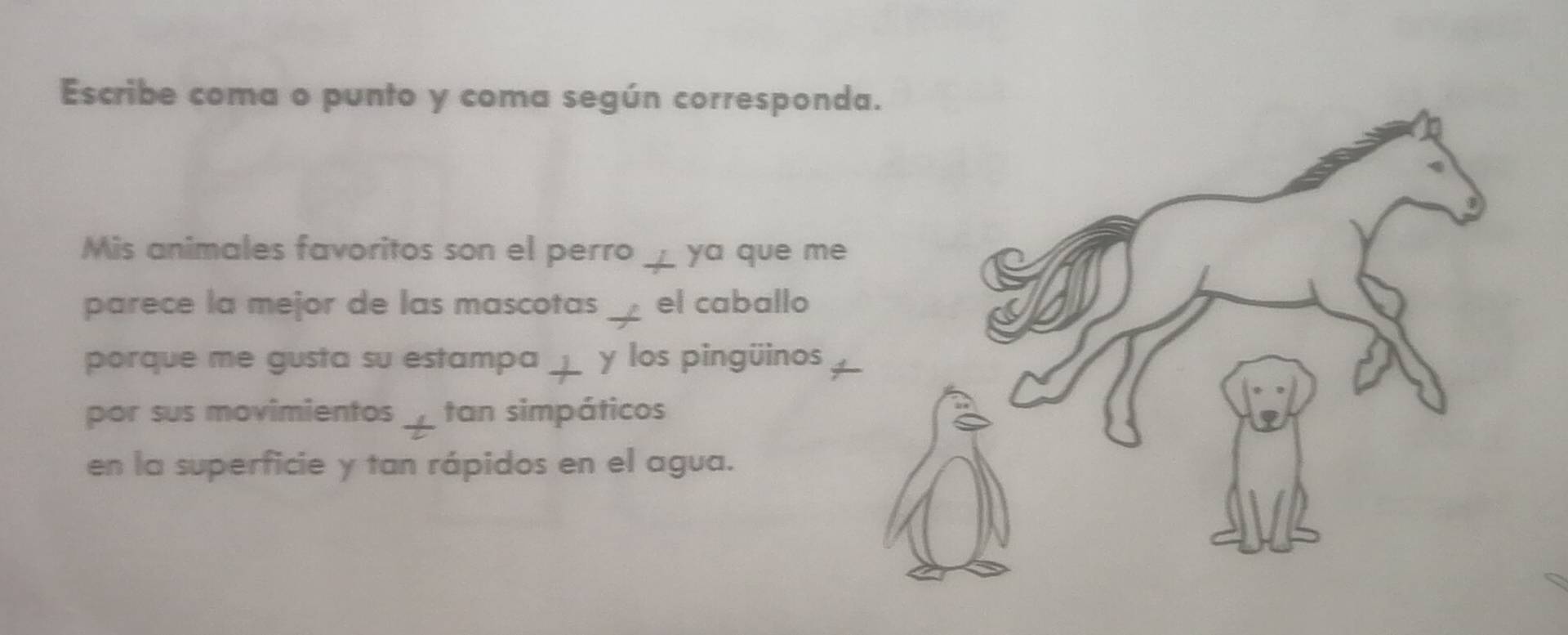 Escribe coma o punto y coma según correspond 
Mis animales favoritos son el perro __ ya que me 
parece la mejor de las mascotas _ el caballo 
porque me gusta su estampa __ y los pingüinos 
por sus movimientos _ tan simpáticos 
en la superficie y tan rápidos en el agua.