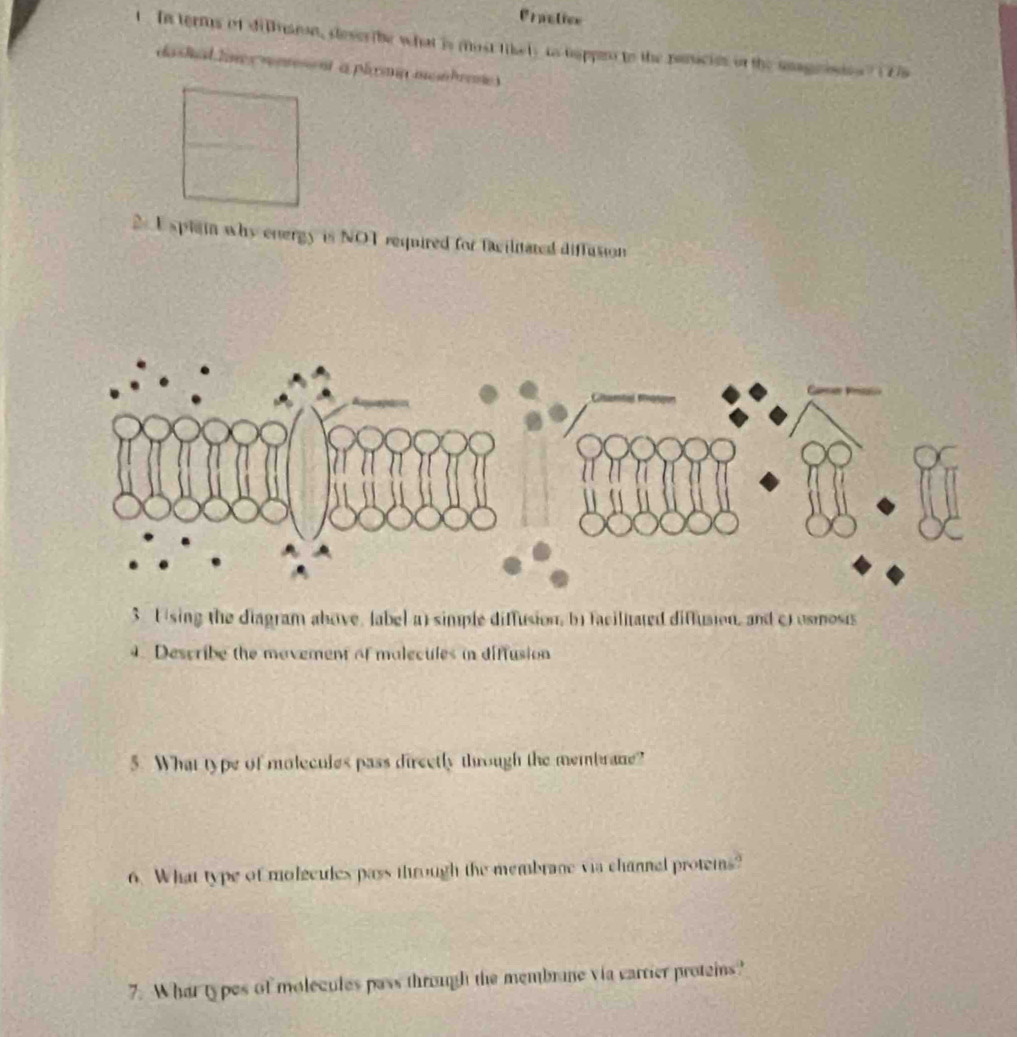 Practice 
t In terms of diliaion, dever be what is most likely to happeo to the ranicies or the unagnosies? ( 2 
dashal ln s vneent a plymp monbrenes 
2 E splai why energy is NOT required for facilitated diffusion 
3 Using the diagram above, label a) simple diffusion, b) facilitated diffusion, and c) usmosts 
4. Describe the movement of malecules in diffusion 
5. What type of molecules pass directly through the membrane? 
6. What type of molecules pass through the membrage via channal protems? 
7. What types of molecules pass through the membrane via carrier proteins?