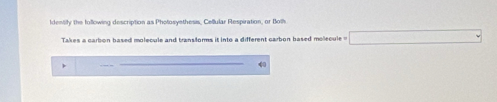 ldentify the following description as Photosynthesis, Cellular Respiration, or Both. 
Takes a carbon based molecule and transforms it into a different carbon based molecule = □