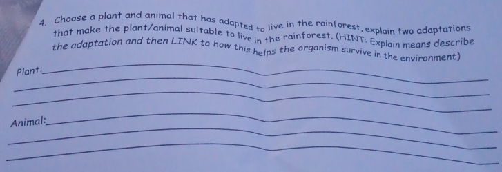 Choose a plant and animal that has adapted to live in the rainforest, explain two adaptations 
that make the plant/animal suitable to live in the rainforest. (HINT: Explain means describe 
_ 
the adaptation and then LINK to how this helps the organism survive in the environment) 
_ 
Plant: 
_ 
_ 
Animal: 
_ 
_