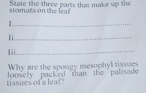 State the three parts that make up the 
stomata on the leaf 
I._ 
Ii_ 
Iii_ 
Why are the spongy mesophyl tissues 
loosely packed than the palisade 
tissues of a leaf?