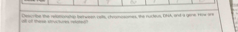 Describe the relationship between cells, chromosomes, the nucleus, DNA, and a gene. How are 
all of these structures related?