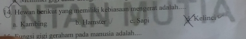 Hewan berikut yang memiliki kebiasaan mengerat adalah....
a. Kambing b. Hamster c. Sapi d. Kelinci
Fungsi gigi geraham pada manusia adalah....