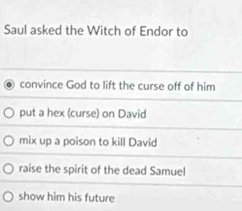 Saul asked the Witch of Endor to
convince God to lift the curse off of him
put a hex (curse) on David
mix up a poison to kill David
raise the spirit of the dead Samuel
show him his future