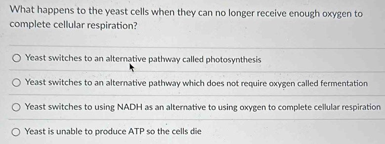 What happens to the yeast cells when they can no longer receive enough oxygen to
complete cellular respiration?
Yeast switches to an alternative pathway called photosynthesis
Yeast switches to an alternative pathway which does not require oxygen called fermentation
Yeast switches to using NADH as an alternative to using oxygen to complete cellular respiration
Yeast is unable to produce ATP so the cells die