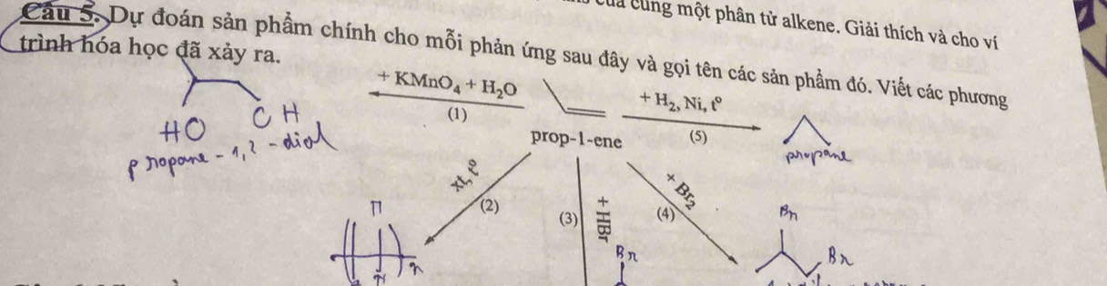 của cùng một phân tử alkene. Giải thích và cho ví 
trình hóa học đã xảy ra. 
Cầu 5. Dự đoán sản phẩm chính cho mỗi phản ứng sau đây và gọi tên các sản phẩm đó. Viết các phương
+KMnO_4+H_2O
(1)
+H_2, Ni, t°
prop-1-ene (5) 
。 
s 
× 
Br 
(2) (3) (4) B_n
Bπ