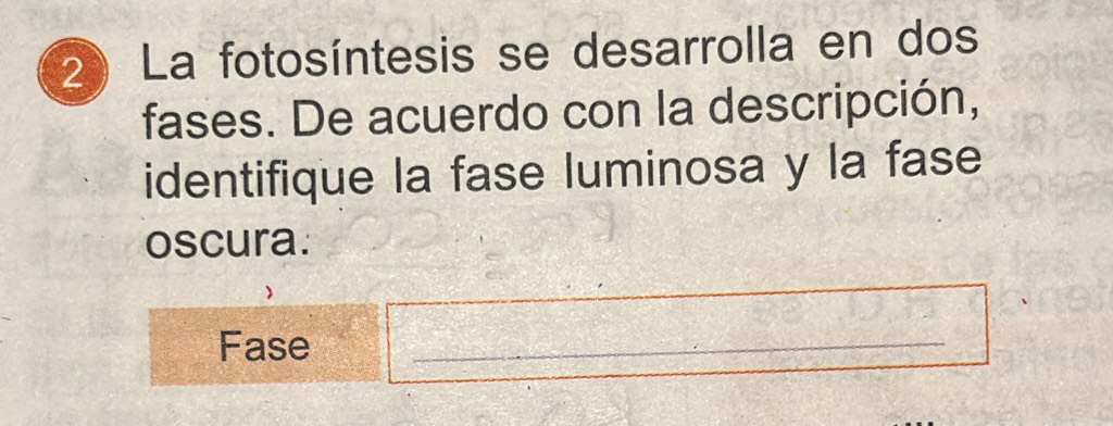 La fotosíntesis se desarrolla en dos 
fases. De acuerdo con la descripción, 
identifique la fase luminosa y la fase 
oscura. 
Fase 
_