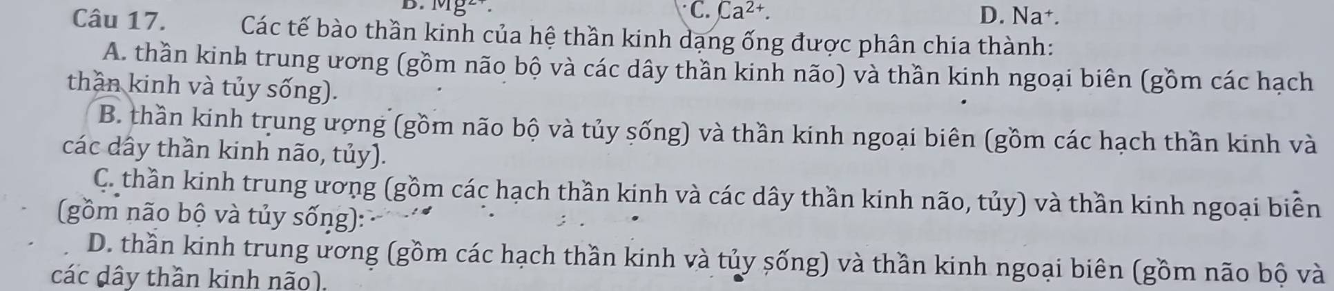 C. Ca^(2+).
B. Mg² D. Na+.
Câu 17. Các tế bào thần kinh của hệ thần kinh dạng ống được phân chia thành:
A. thần kinh trung ương (gồm não bộ và các dây thần kinh não) và thần kinh ngoại biên (gồm các hạch
thần kinh và tủy sống).
B. thần kinh trung ượng (gồm não bộ và tủy sống) và thần kinh ngoại biên (gồm các hạch thần kinh và
các dây thần kinh não, tủy).
C. thần kinh trung ương (gồm các hạch thần kinh và các dây thần kinh não, tủy) và thần kinh ngoại biển
(gồm não bộ và tủy sống):
D. thần kinh trung ương (gồm các hạch thần kinh và tủy sống) và thần kinh ngoại biên (gồm não bộ và
các dây thần kinh não).