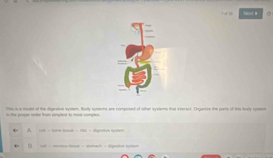 7αf28 NexE》
This is a mudel of the digestive system. Body systems are composed of other systems that interact. Organize the parts of this body system
in the proper order from simplest to most complex.
A cell - bone tissue -- ribs. - digestive system
B cell - nervous tissue - stomach - digestive system