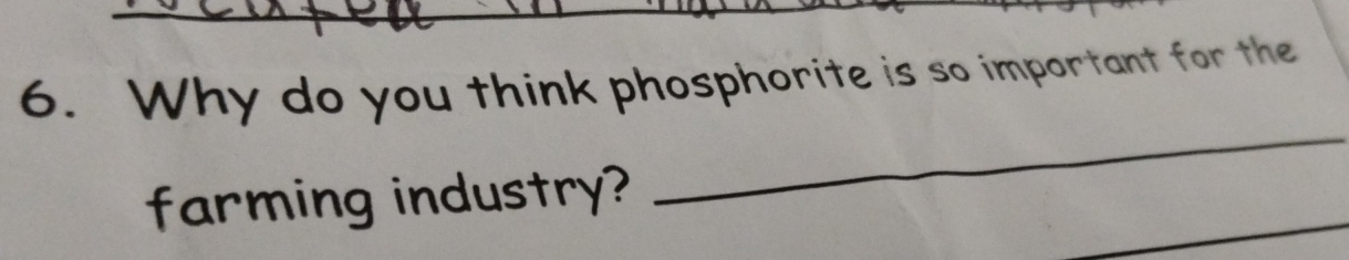 Why do you think phosphorite is so important for the 
_ 
_ 
farming industry?