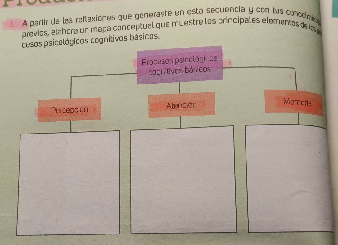 A partir de las reflexiones que generaste en esta secuencia y con tus conocimient 
previos, elabora un mapa conceptual que muestre los principales elementos de los p 
cesos psicológicos cognitivos básicos.