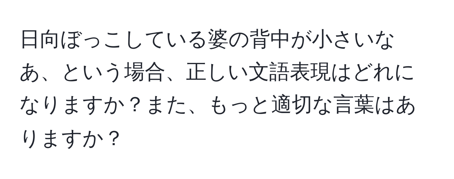 日向ぼっこしている婆の背中が小さいなあ、という場合、正しい文語表現はどれになりますか？また、もっと適切な言葉はありますか？