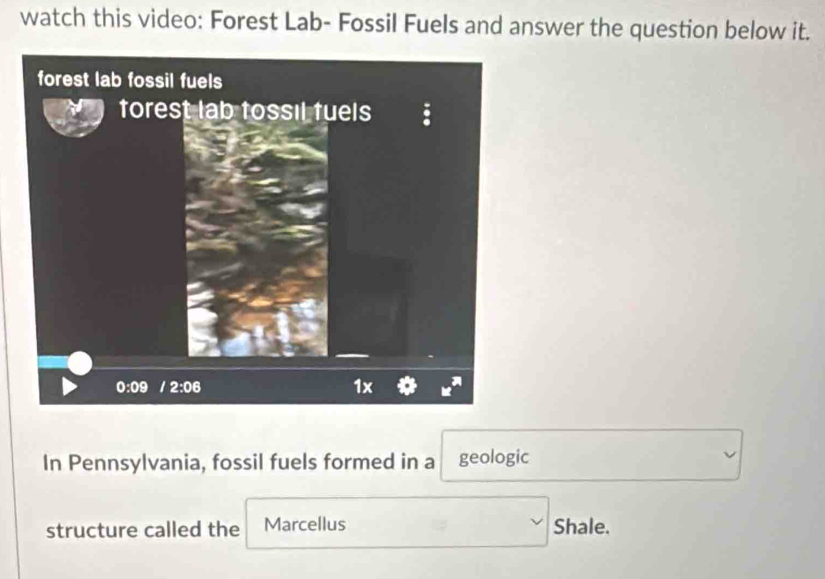 watch this video: Forest Lab- Fossil Fuels and answer the question below it.
In Pennsylvania, fossil fuels formed in a geologic
structure called the Marcellus Shale.