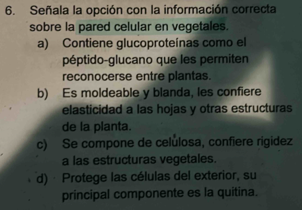 Señala la opción con la información correcta
sobre la pared celular en vegetales.
a) Contiene glucoproteínas como el
péptido-glucano que les permiten
reconocerse entre plantas.
b) Es moldeable y blanda, les confiere
elasticidad a las hojas y otras estructuras
de la planta.
c) Se compone de celulosa, confiere rigidez
a las estructuras vegetales.
d) · Protege las células del exterior, su
principal componente es la quitina.