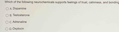 Which of the following neurochemicals supports feelings of trust, calmness, and bonding
A. Dopamine
B. Testosterone
C. Adrenaline
D. Oxytocin