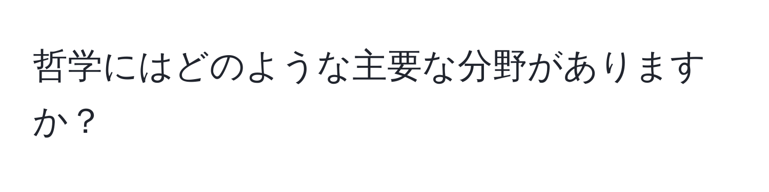 哲学にはどのような主要な分野がありますか？