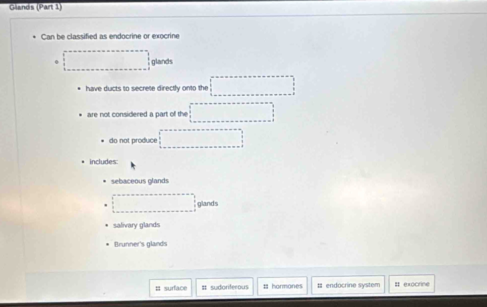 Glands (Part 1)
Can be classified as endocrine or exocrine
。 □ glands
have ducts to secrete directly onto the
are not considered a part of the □°
do not produce □ 
includes:
sebaceous glands
□ glands
salivary glands
Brunner's glands
:: surface = sudoriferous : hormones : endocrine system :: exocrine