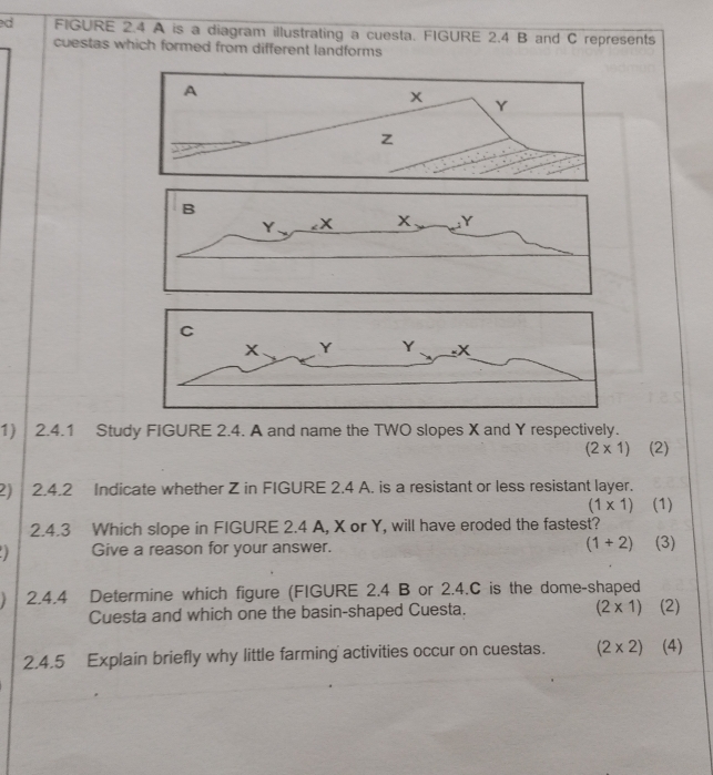 ed FIGURE 2.4 A is a diagram illustrating a cuesta. FIGURE 2.4 B and C represents 
cuestas which formed from different landforms
Y × x; Y
1) 2.4.1 Study FIGURE 2.4. A and name the TWO slopes X and Y respectively.
(2* 1) (2) 
2) 2.4.2 Indicate whether Z in FIGURE 2.4 A. is a resistant or less resistant layer.
(1* 1) (1) 
2.4.3 Which slope in FIGURE 2.4 A, X or Y, will have eroded the fastest? 
Give a reason for your answer. (1+2) (3) 
2.4.4 Determine which figure (FIGURE 2.4 B or 2.4.C is the dome-shaped 
Cuesta and which one the basin-shaped Cuesta. (2* 1) (2) 
2.4.5 Explain briefly why little farming activities occur on cuestas. (2* 2) (4)