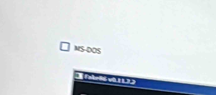 MS-DOS 
fb i L